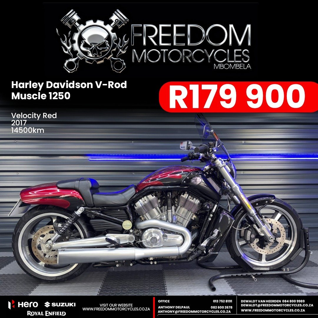 Harley Davidson V-Rod Muscle